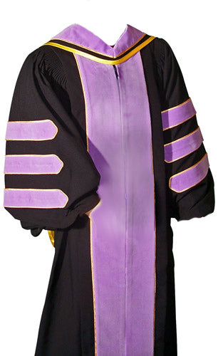 Dr. of Dentistry DDS DMD Regalia Faculty Graduate